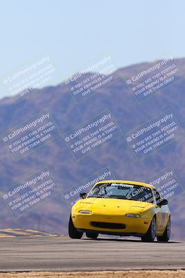 media/Mar-15-2025-Speed Ventures (Sat) [[c9b64f47cf]]/5-Yellow Group/Session 2 (Turn 9)/